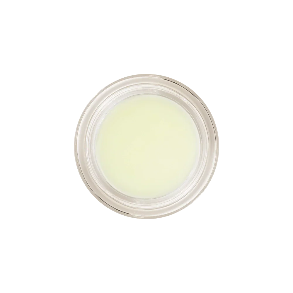 Honeybalm Mint - Image 10