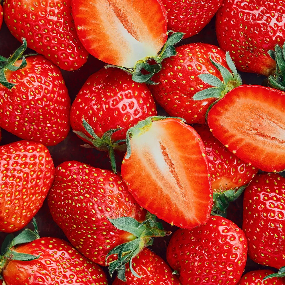 Honeybalm Strawberry - Image 3